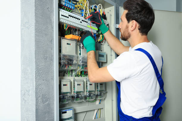 Best Electric Panel Repair  in , NH